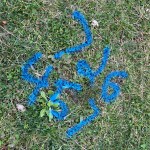 blue painted markings on lawn