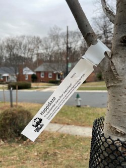 tree species tag