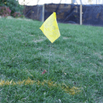 yellow lawn flag